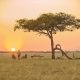 3-Day Tarangire, Ngorongoro & Lake Manyara Safari