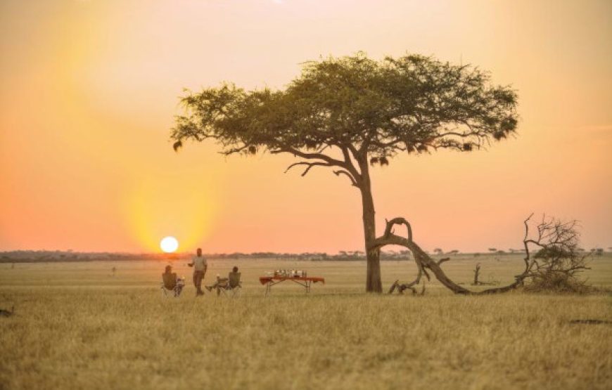 3-Day Tarangire, Ngorongoro & Lake Manyara Safari