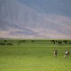 3-Day Serengeti & Ngorongoro Crater Safari from Arusha | Best Tanzania Short Tour