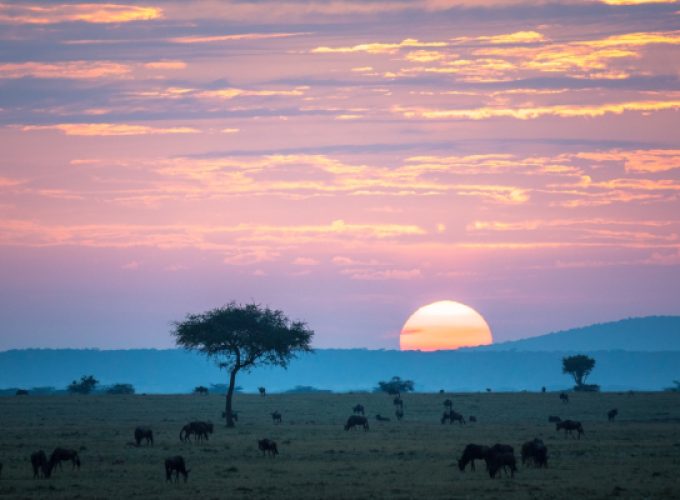 5-Day Tarangire, Serengeti, Ngorongoro & Manyara Safari | Tanzania Northern Circuit Tour