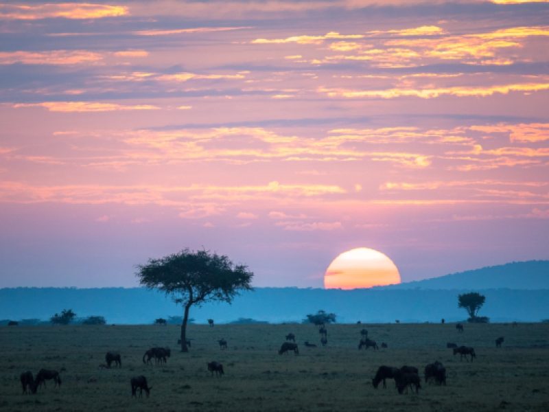 5-Day Tarangire, Serengeti, Ngorongoro & Manyara Safari | Tanzania Northern Circuit Tour