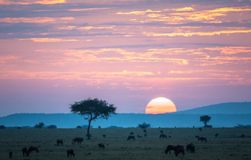 5-Day Tarangire, Serengeti, Ngorongoro & Manyara Safari | Tanzania Northern Circuit Tour