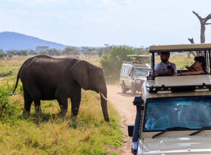 9-Day Ultimate Tanzania Safari | Arusha, Tarangire, Manyara, Serengeti, Ngorongoro