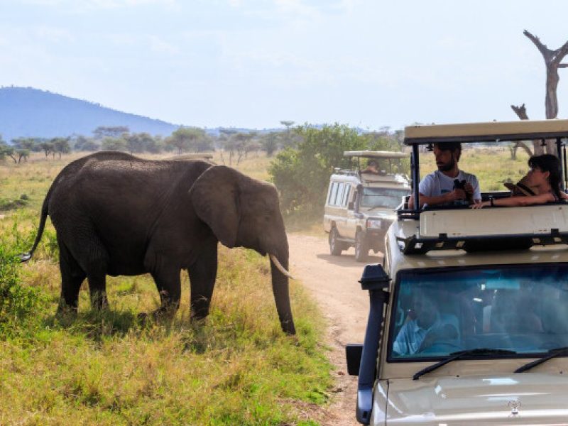 9-Day Ultimate Tanzania Safari | Arusha, Tarangire, Manyara, Serengeti, Ngorongoro