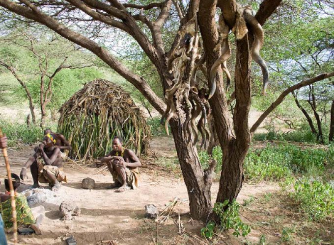 10-Day Ultimate Tanzania Safari & Cultural Tour | Serengeti, Ngorongoro, Lake Eyasi Bushmen