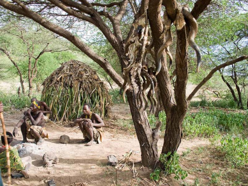 10-Day Ultimate Tanzania Safari & Cultural Tour | Serengeti, Ngorongoro, Lake Eyasi Bushmen