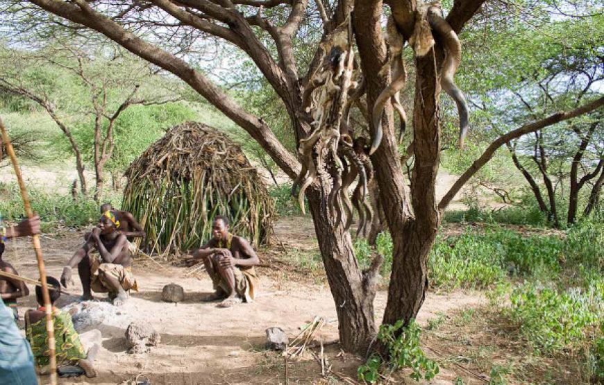 10-Day Ultimate Tanzania Safari & Cultural Tour | Serengeti, Ngorongoro, Lake Eyasi Bushmen