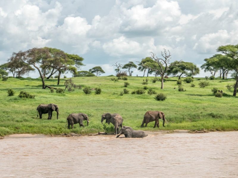6-Day Tanzania Northern Circuit Safari | Tarangire, Manyara, Serengeti, Ngorongoro