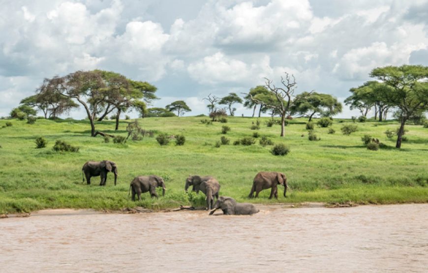 6-Day Tanzania Northern Circuit Safari | Tarangire, Manyara, Serengeti, Ngorongoro
