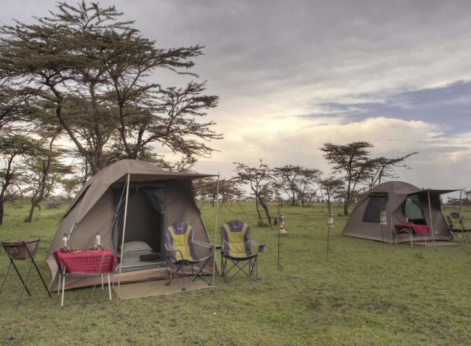 4 – Day Budget Camping Safari Tanzania | Tarangire, Serengeti, Ngorongoro Crater | Affordable Wildlife Tour
