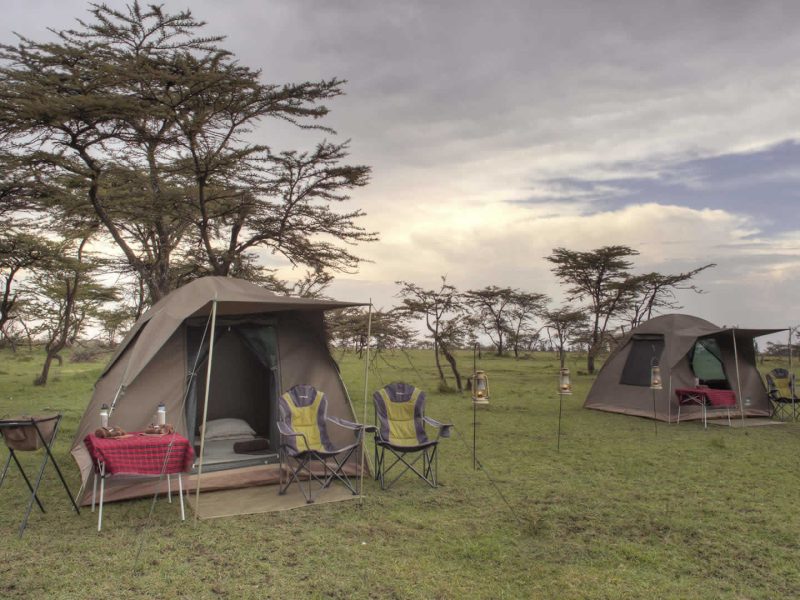 4 – Day Budget Camping Safari Tanzania | Tarangire, Serengeti, Ngorongoro Crater | Affordable Wildlife Tour