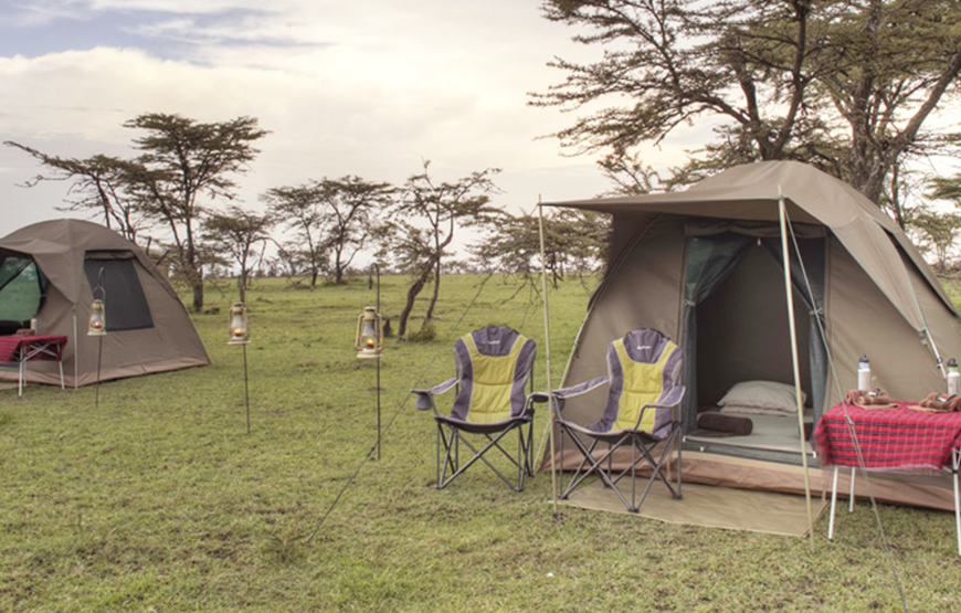 4 – Day Budget Camping Safari Tanzania | Tarangire, Serengeti, Ngorongoro Crater | Affordable Wildlife Tour