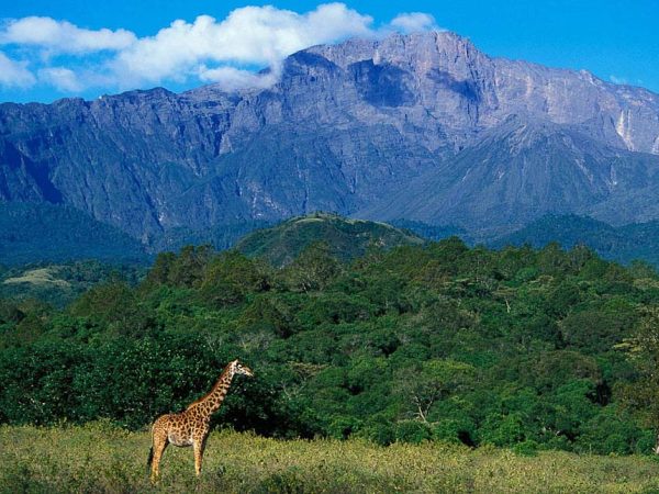 Arusha National Park 1