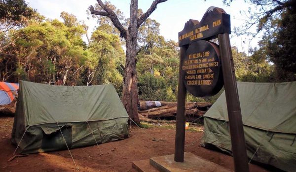 Mti Mkumbwa camp