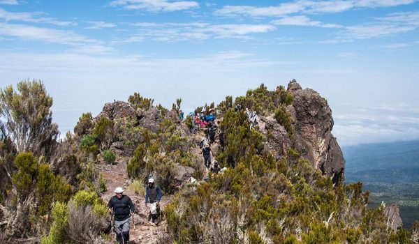29483605 - group moving above the clouds on the ridge leading to shira camp