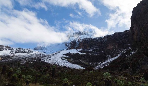 kilimanjaro 4